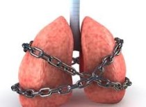 Possible root cause of asthma found