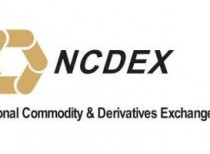 NCDEX launches mobile app – NCDEX App for investors