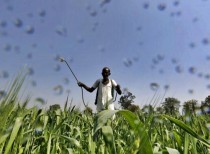 Nabard plans Rs 30,000 crore credit to farmers for irrigation