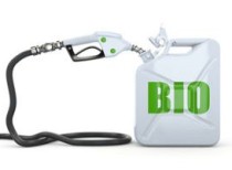 August 10 : International Biodiesel Day