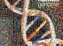 World’s Largest Catalogue of Human Genomic Variation created
