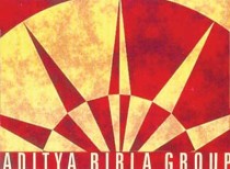 Abraaj teams up with Aditya Birla for Indian solar investments