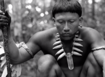 Colombian film Embrace of The Serpent adjudged best film of 46th IFFI