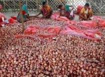 Onion exports fall 18% during April – September on Govt. Restriction
