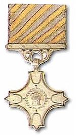 150px-Vayusena_Medal