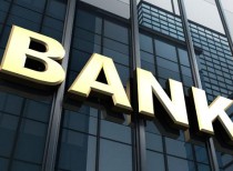 Nationalised Banks in India (2016) –II