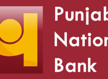 PNB declares 904 firms as wilful defaulters