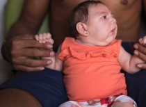 Scientists find how Zika virus attacks foetus