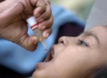Polio can be eradicated in 12 months: WHO