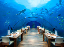 India gets its first underwater restaurant