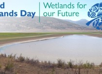 February 02 – World Wetland Day