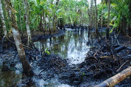 Peru declares emergency after oil spill hits rivers