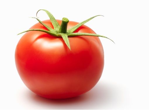 Tomato waste may prove fuel of the future