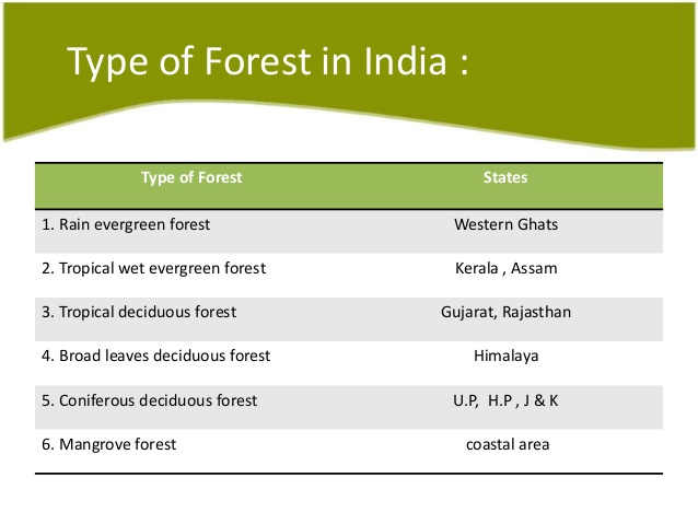 Indian Forests - A Complete Overview - Day Today GK - Current Affairs ...