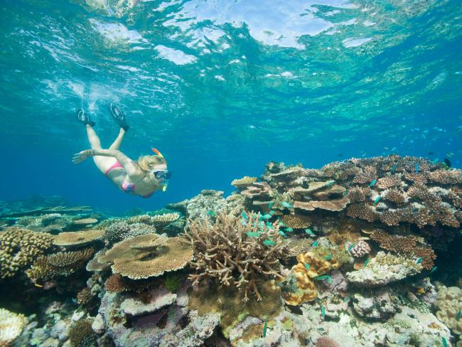 Great Barrier Reef named best destination of ’16