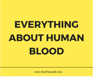 All You Need To Know About Human Blood