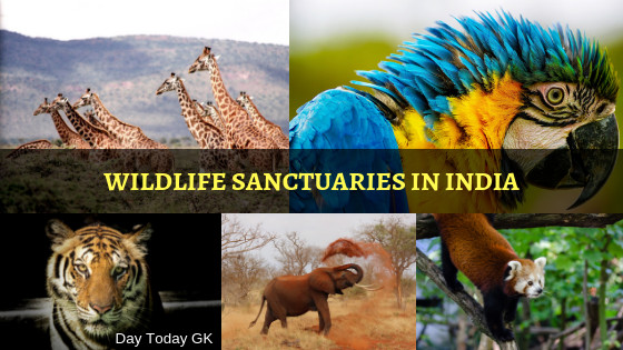 Complete List of Wildlife Sanctuaries in India | General Knowledge