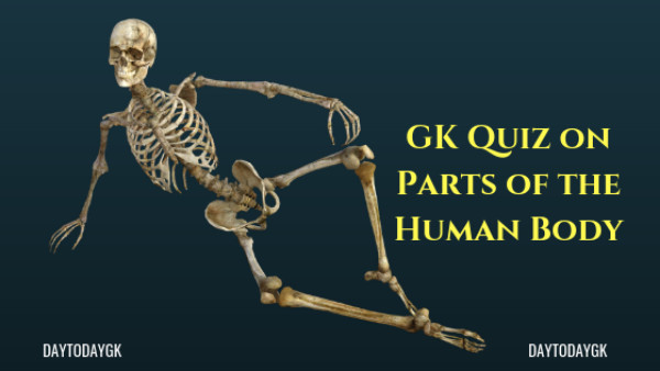 GK Quiz on Parts of the Human Body with Answers