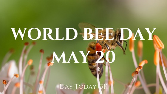 World Bee Day | May 20 | Observed by United Nations