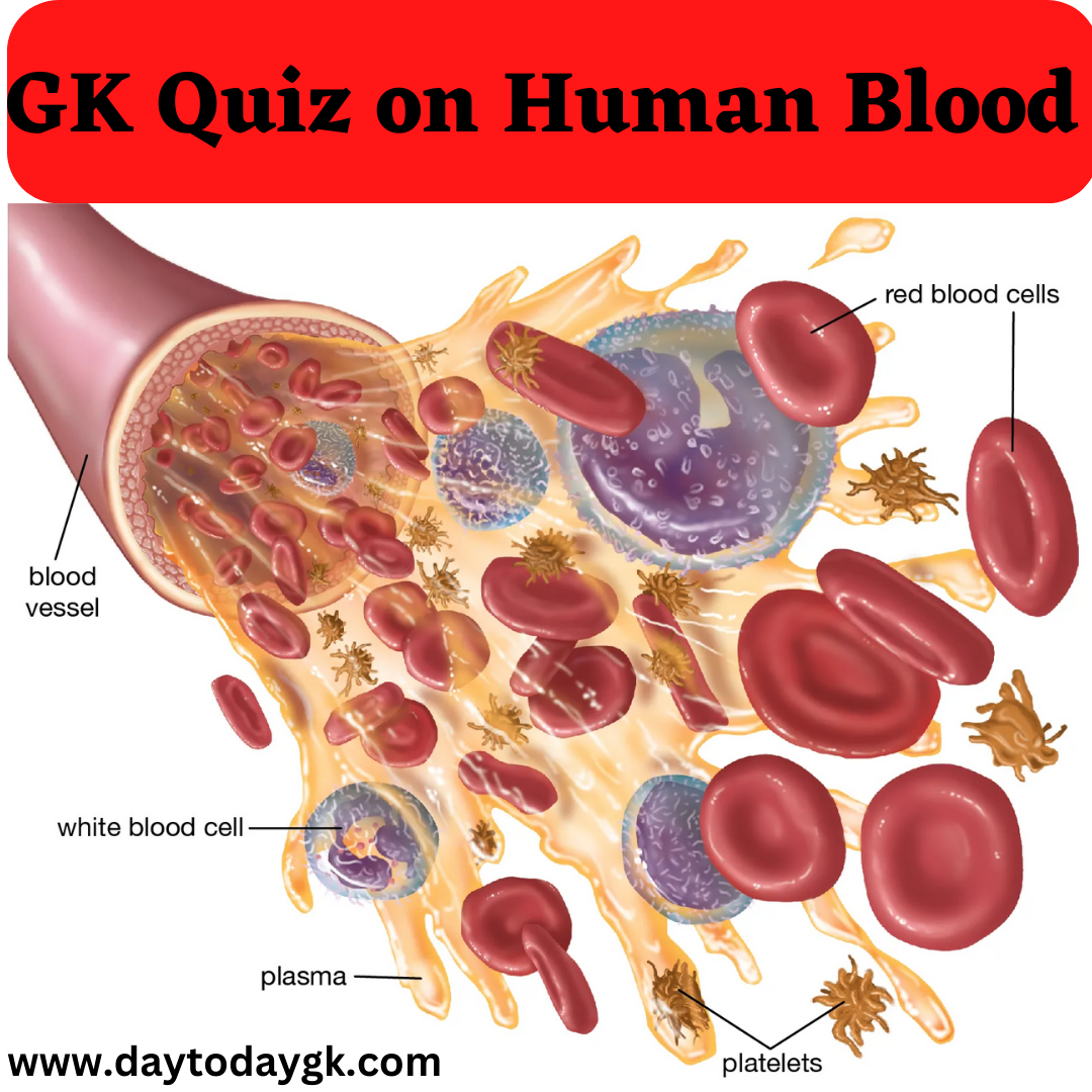 GK Quiz on Human Blood