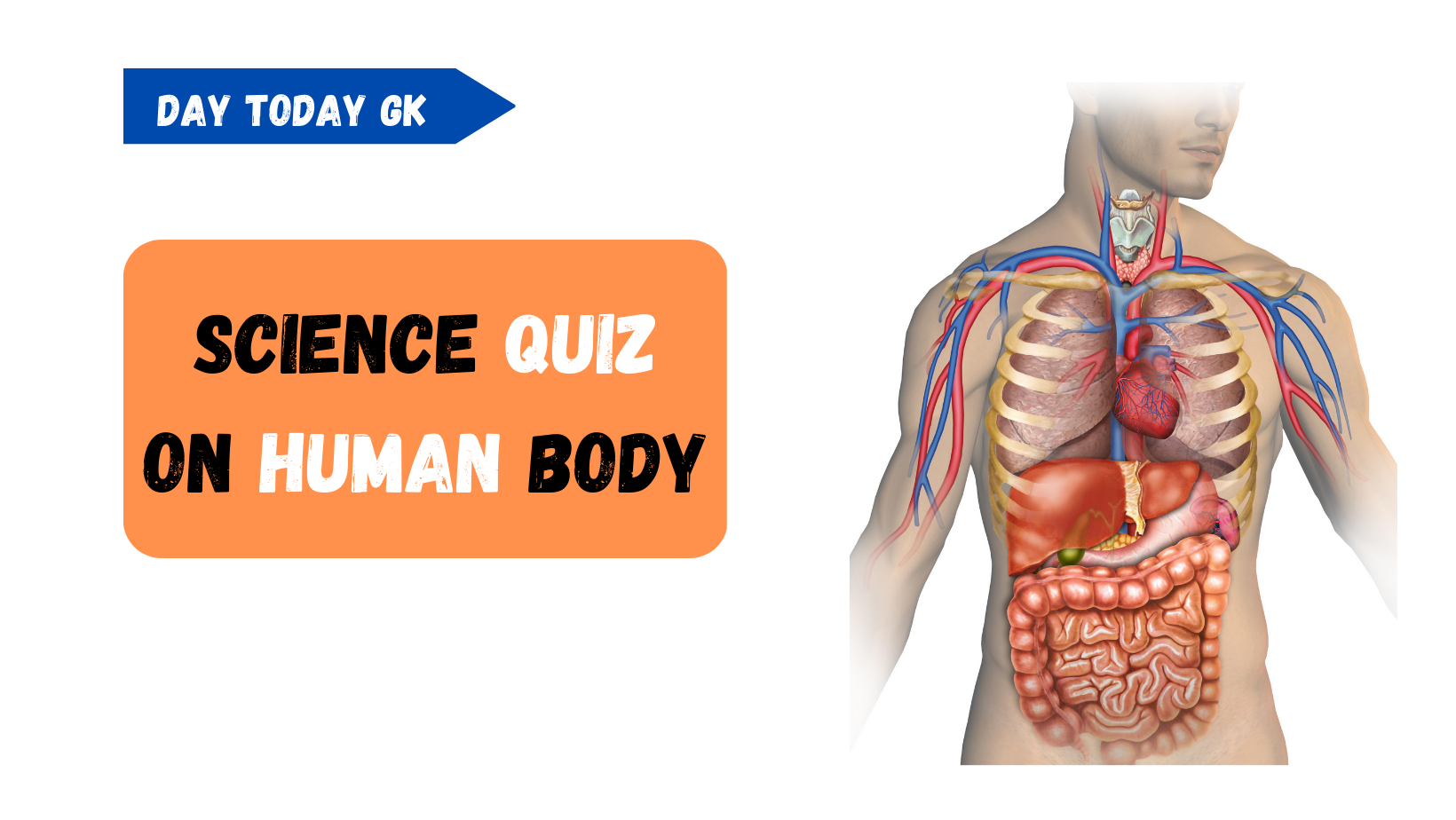 Science Quiz on Human Body