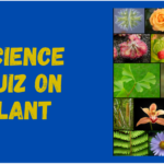 Science Quiz on Plants