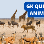 GK Quiz on Animals