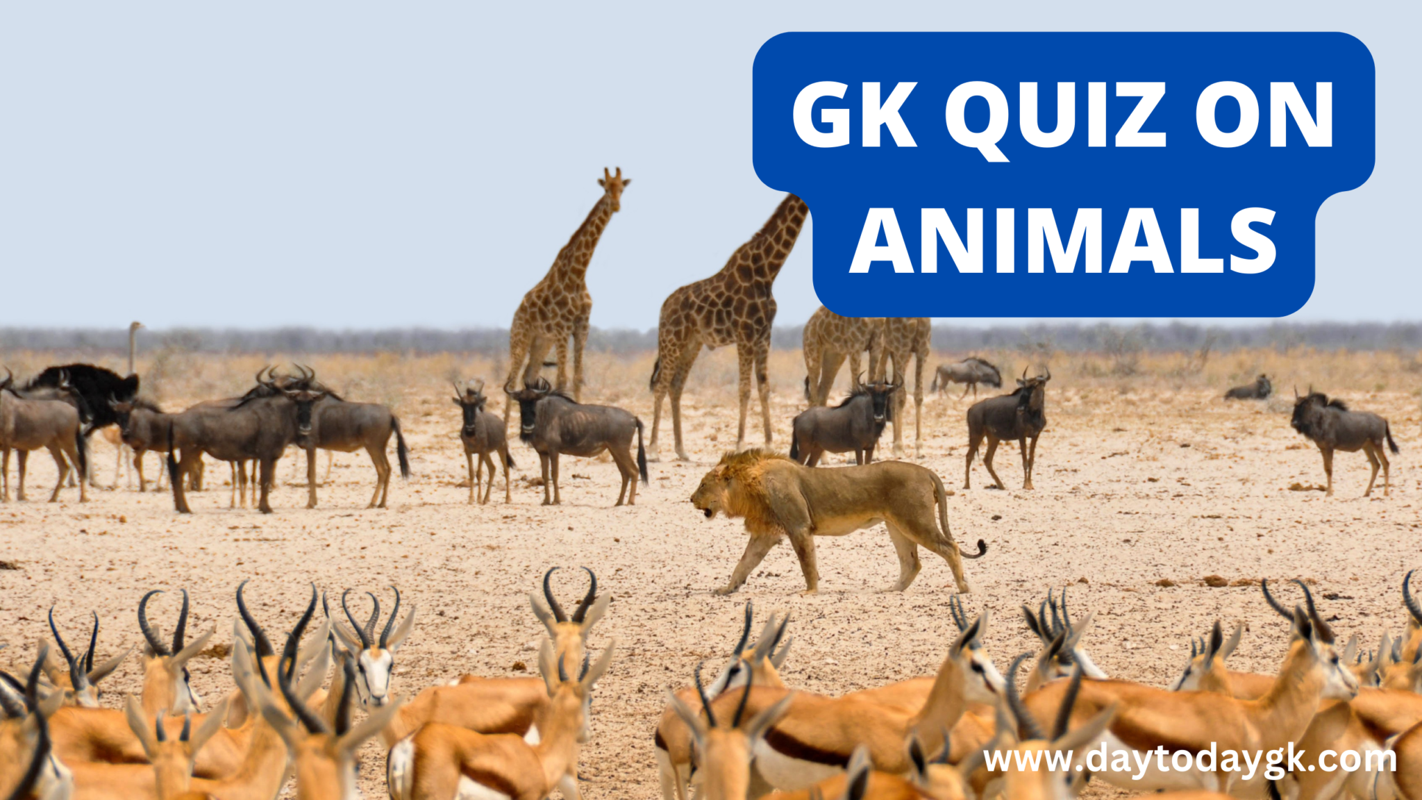 GK Quiz on Animals