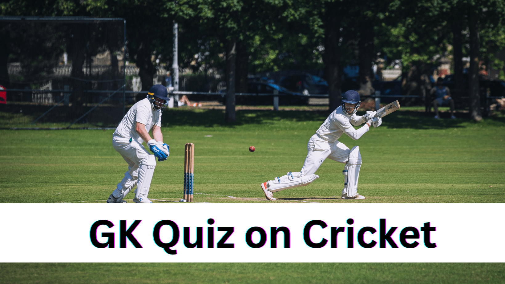 GK Quiz on Cricket