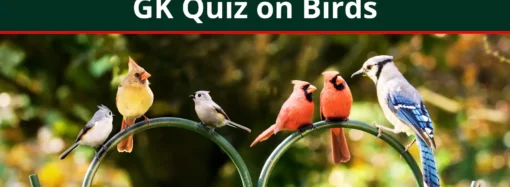 GK Quiz on Birds with Answers