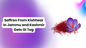 Saffron From Kishtwar In Jammu and Kashmir Gets GI Tag (1)