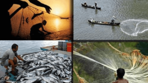 Uttar Pradesh bags First Prize for Best State in Inland Fisheries (1)