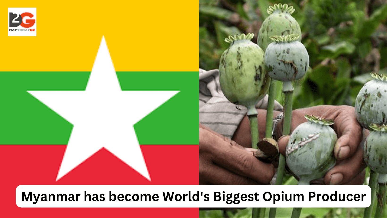 Myanmar has become World’s Biggest Opium Producer