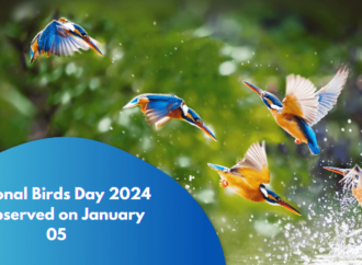 National Birds Day 2024 is observed on January 05